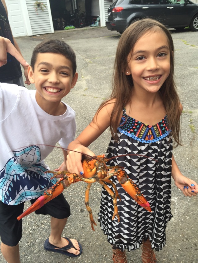 Kaiya lobsters